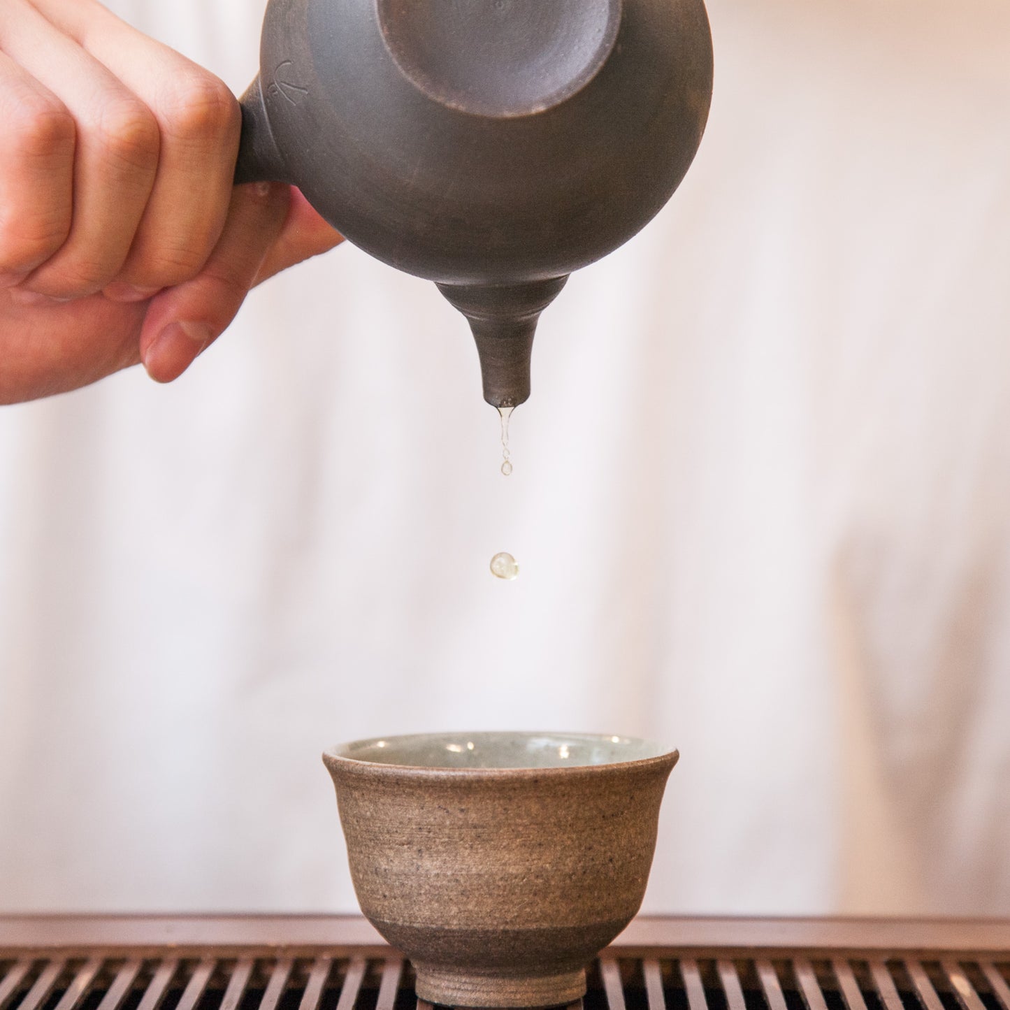 Hanhakkou Hojicha